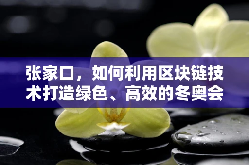 张家口，如何利用区块链技术打造绿色、高效的冬奥会？