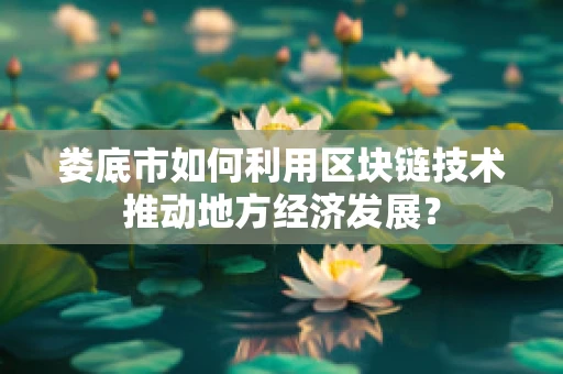 娄底市如何利用区块链技术推动地方经济发展？
