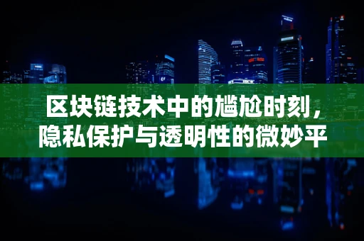 区块链技术中的尴尬时刻，隐私保护与透明性的微妙平衡