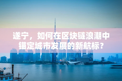 遂宁，如何在区块链浪潮中锚定城市发展的新航标？