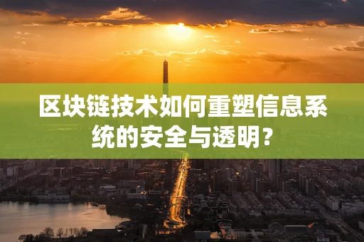 区块链技术如何重塑信息系统的安全与透明？