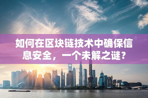 如何在区块链技术中确保信息安全，一个未解之谜？