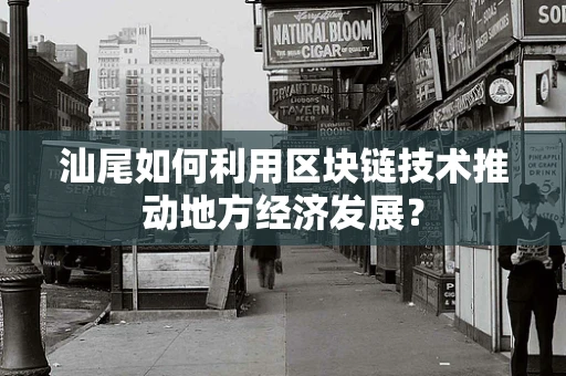 汕尾如何利用区块链技术推动地方经济发展？