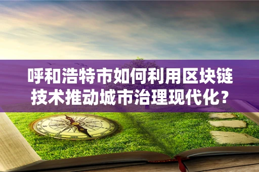 呼和浩特市如何利用区块链技术推动城市治理现代化？