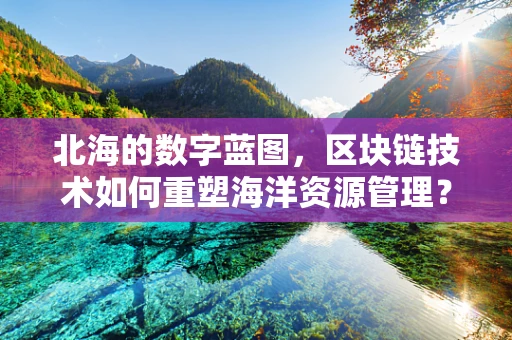 北海的数字蓝图，区块链技术如何重塑海洋资源管理？