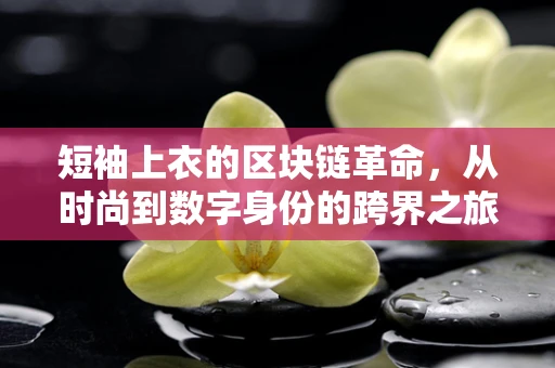 短袖上衣的区块链革命，从时尚到数字身份的跨界之旅？