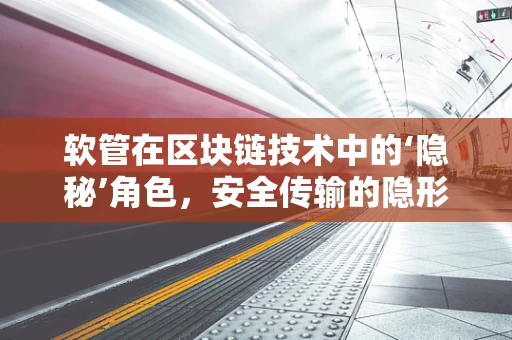软管在区块链技术中的‘隐秘’角色，安全传输的隐形守护者？