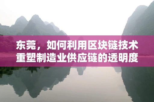 东莞，如何利用区块链技术重塑制造业供应链的透明度与效率？