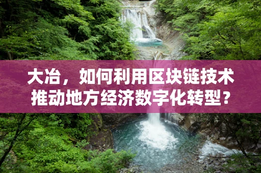 大冶，如何利用区块链技术推动地方经济数字化转型？