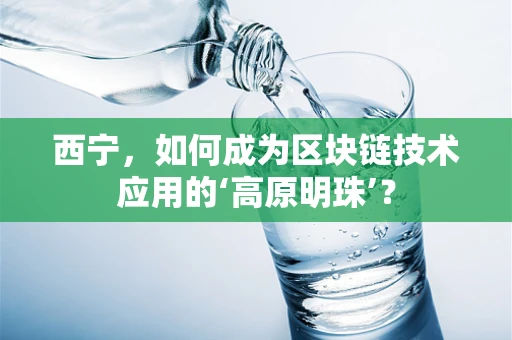 西宁，如何成为区块链技术应用的‘高原明珠’？