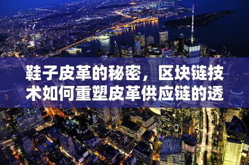 鞋子皮革的秘密，区块链技术如何重塑皮革供应链的透明度与可持续性？