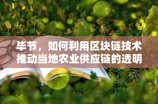 毕节，如何利用区块链技术推动当地农业供应链的透明与效率？