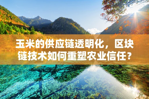 玉米的供应链透明化，区块链技术如何重塑农业信任？