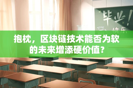 抱枕，区块链技术能否为软的未来增添硬价值？
