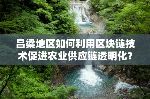 吕梁地区如何利用区块链技术促进农业供应链透明化？