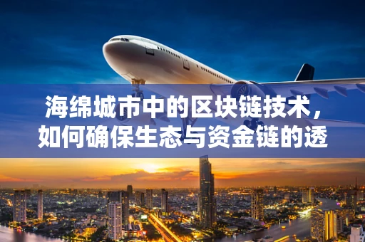 海绵城市中的区块链技术，如何确保生态与资金链的透明与安全？