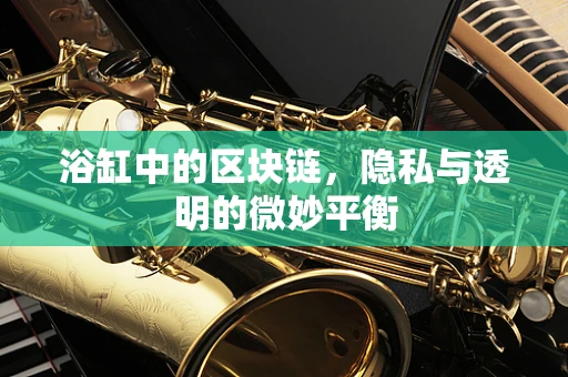 浴缸中的区块链，隐私与透明的微妙平衡