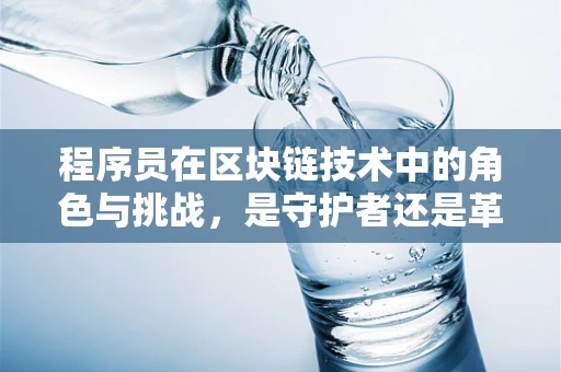 程序员在区块链技术中的角色与挑战，是守护者还是革新者？