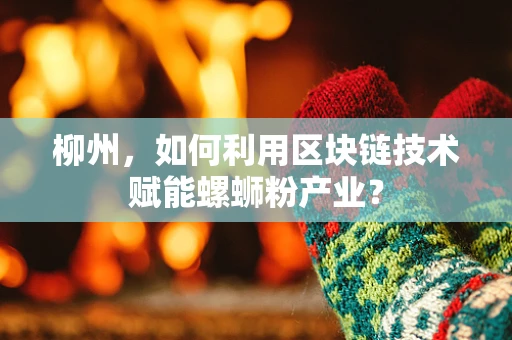 柳州，如何利用区块链技术赋能螺蛳粉产业？