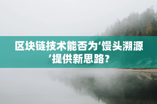 区块链技术能否为‘馒头溯源’提供新思路？