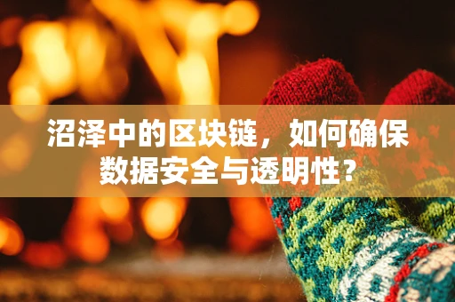 沼泽中的区块链，如何确保数据安全与透明性？