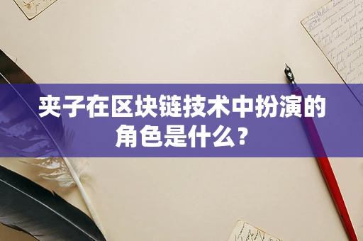 夹子在区块链技术中扮演的角色是什么？