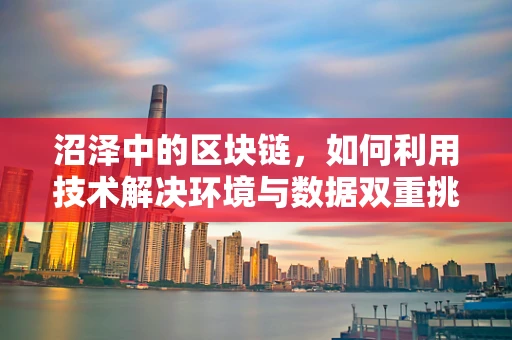 沼泽中的区块链，如何利用技术解决环境与数据双重挑战？