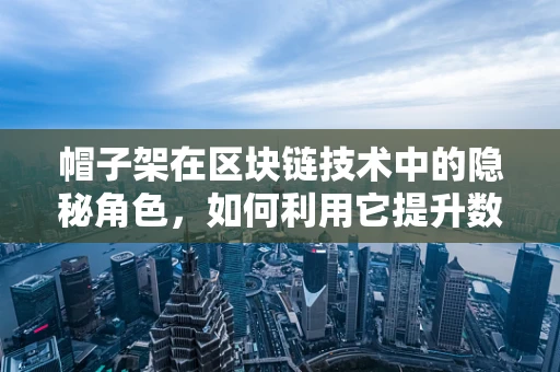 帽子架在区块链技术中的隐秘角色，如何利用它提升数据存储效率？