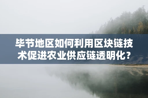 毕节地区如何利用区块链技术促进农业供应链透明化？