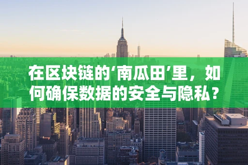 在区块链的‘南瓜田’里，如何确保数据的安全与隐私？