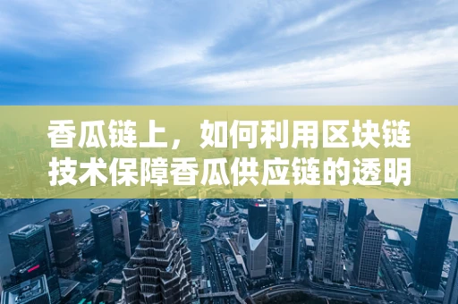 香瓜链上，如何利用区块链技术保障香瓜供应链的透明与安全？
