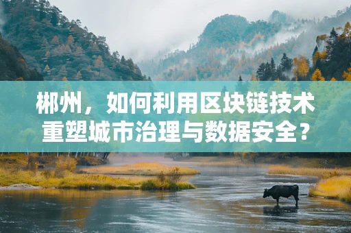 郴州，如何利用区块链技术重塑城市治理与数据安全？