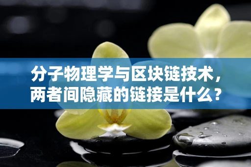 分子物理学与区块链技术，两者间隐藏的链接是什么？