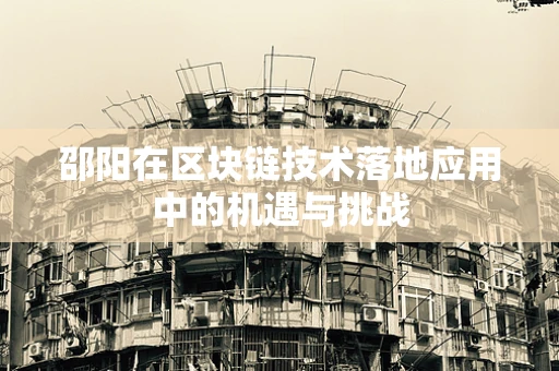 邵阳在区块链技术落地应用中的机遇与挑战