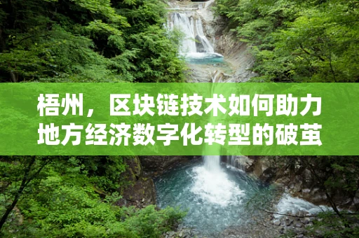 梧州，区块链技术如何助力地方经济数字化转型的破茧成蝶？