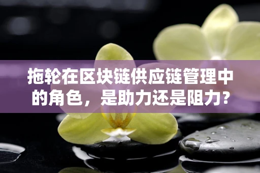 拖轮在区块链供应链管理中的角色，是助力还是阻力？