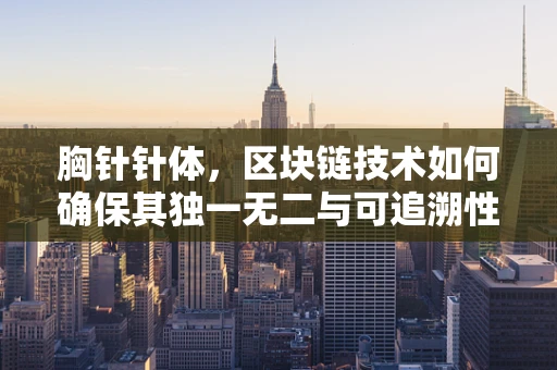 胸针针体，区块链技术如何确保其独一无二与可追溯性？
