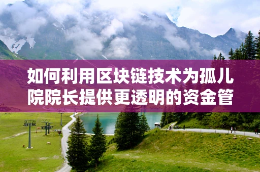 如何利用区块链技术为孤儿院院长提供更透明的资金管理方案？