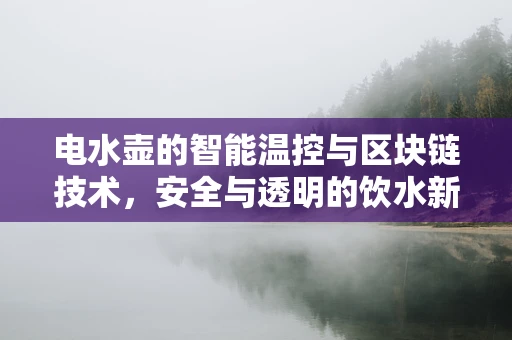 电水壶的智能温控与区块链技术，安全与透明的饮水新纪元？
