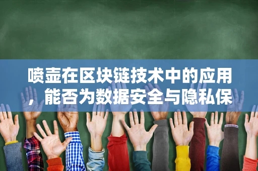 喷壶在区块链技术中的应用，能否为数据安全与隐私保护带来新思路？