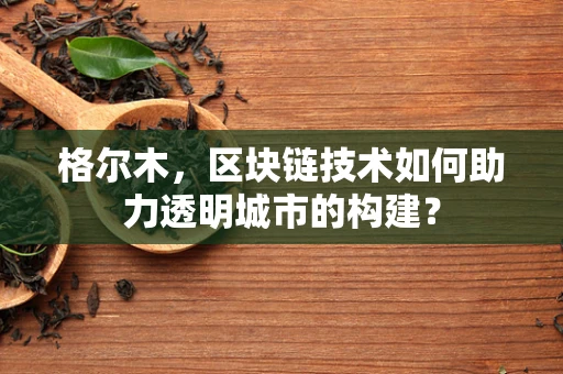 格尔木，区块链技术如何助力透明城市的构建？