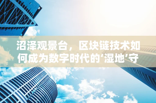 沼泽观景台，区块链技术如何成为数字时代的‘湿地’守护者？