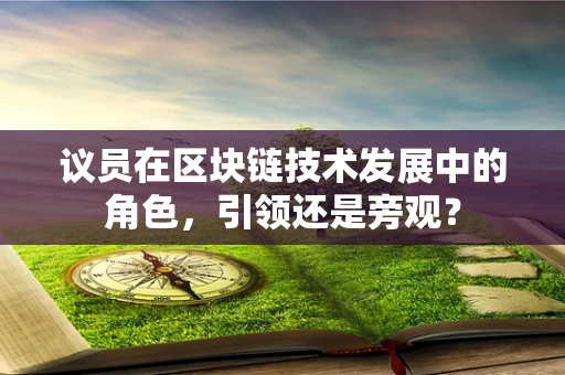 议员在区块链技术发展中的角色，引领还是旁观？