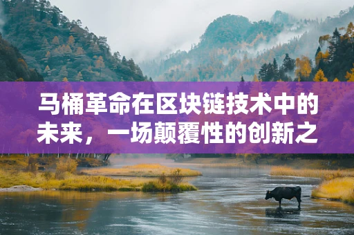 马桶革命在区块链技术中的未来，一场颠覆性的创新之旅？