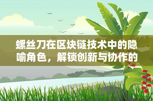 螺丝刀在区块链技术中的隐喻角色，解锁创新与协作的密钥？