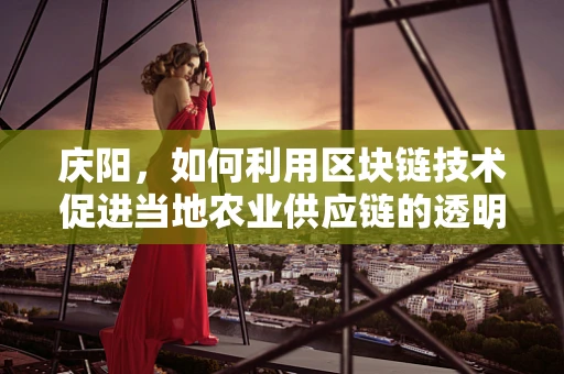 庆阳，如何利用区块链技术促进当地农业供应链的透明化与效率提升？