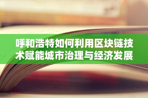呼和浩特如何利用区块链技术赋能城市治理与经济发展？