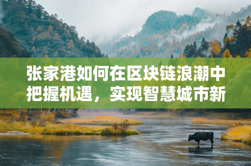 张家港如何在区块链浪潮中把握机遇，实现智慧城市新飞跃？