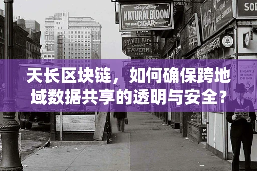 天长区块链，如何确保跨地域数据共享的透明与安全？
