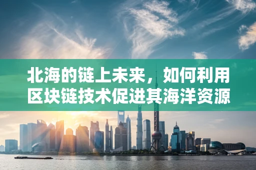 北海的链上未来，如何利用区块链技术促进其海洋资源可持续管理？